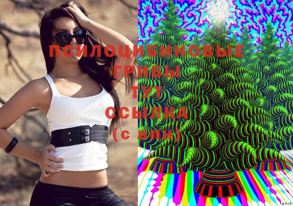 ECSTASY Абаза