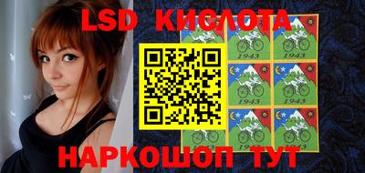 стафф Камышлов