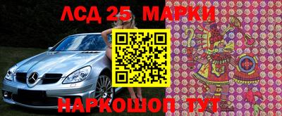 стафф Камышлов