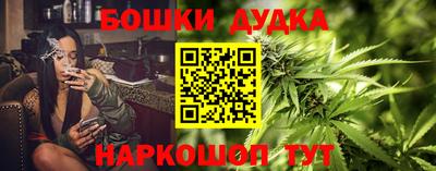 стафф Камышлов