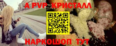 стафф Камышлов