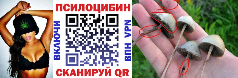 Галлюциногенные грибы мицелий  Югорск 